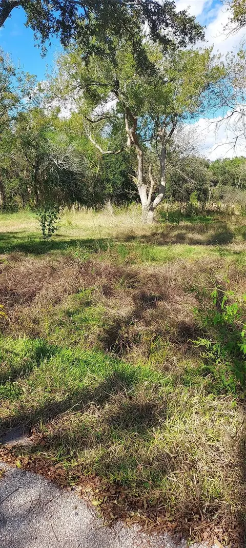 8828 Calagna Rd, Hitchcock, TX 77563