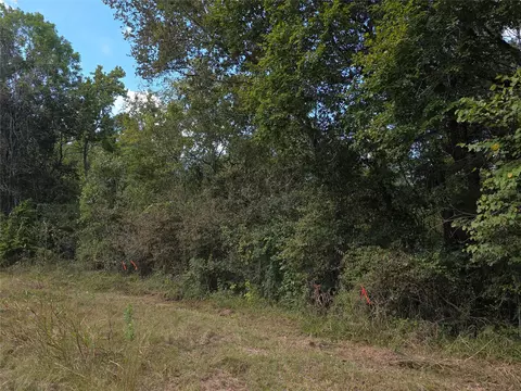 tbd Hidden Cove Dr, Point Blank, TX 77364