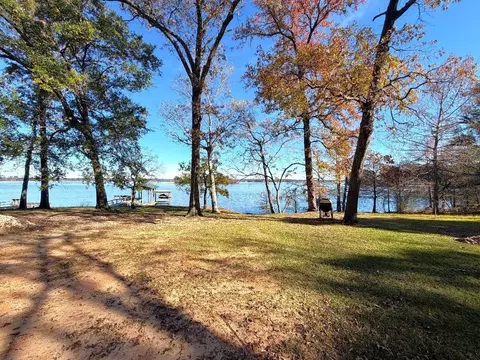 View/Area - 161 E Waltz Ln, Trinity, TX 75862 photo 3 of 3