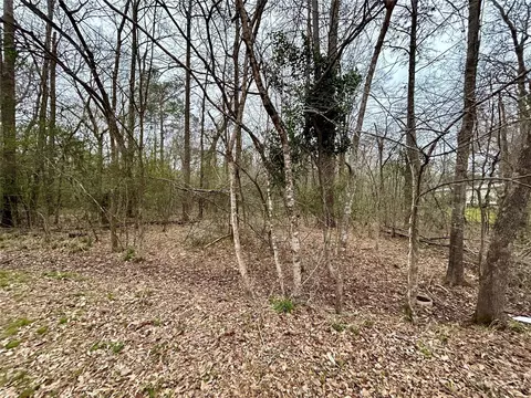 tbd Bluebonnet Dr, Onalaska, TX 77360