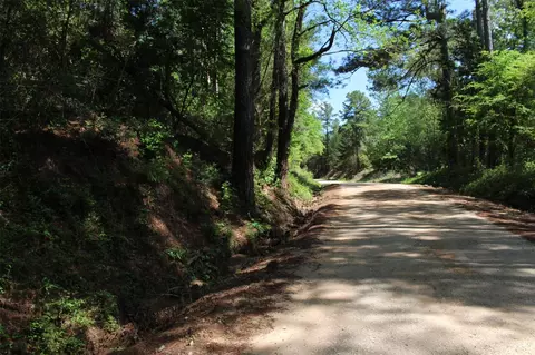 000 County Road 1190, Grapeland, TX 75844