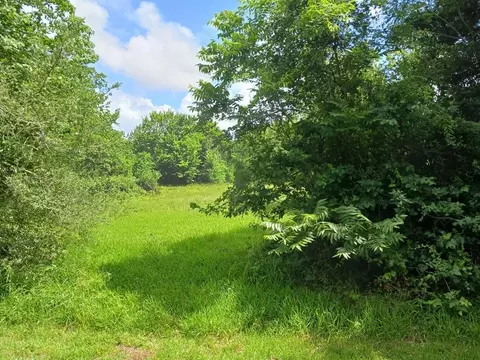00 Cahill, Angleton, TX 77515 photo 6