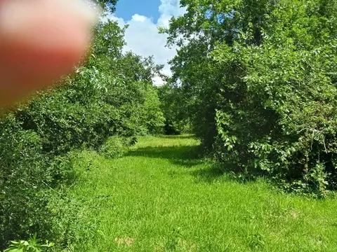00 Cahill, Angleton, TX 77515 photo 8