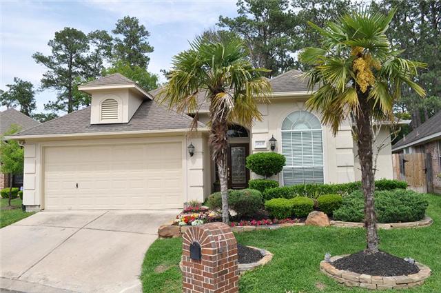 18326 Rittenhouse Park Ct, Spring, TX 77379 photo 1