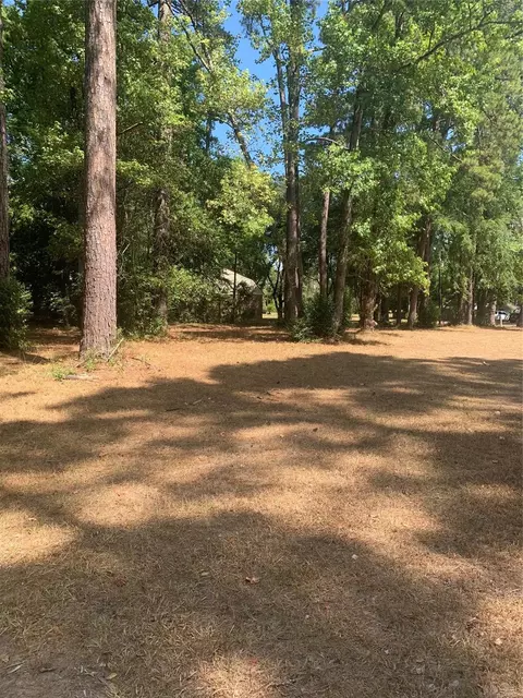 tbd 1314 Chain Rd, Livingston, TX 77351