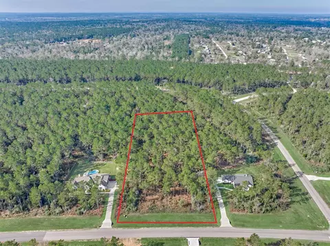 15929 Wood Grove Way, Willis, TX 77378
