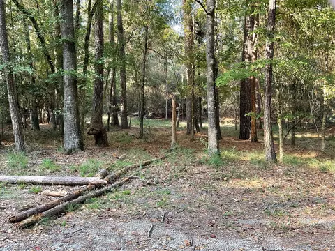 00 Winding Creek Dr, Trinity, TX 75862 photo 6