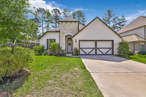 294 Scarlet Maple Way, Willis, TX 77318 photo 1