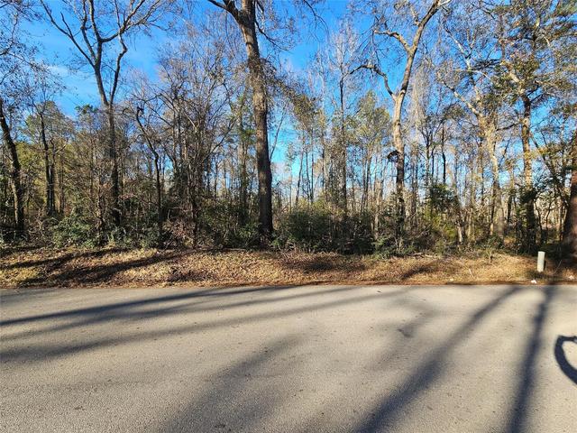 lot3 Sherwood Dr, Shepherd, TX 77371