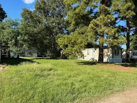 193 Saturn Dr, Trinity, TX 75862 photo 1