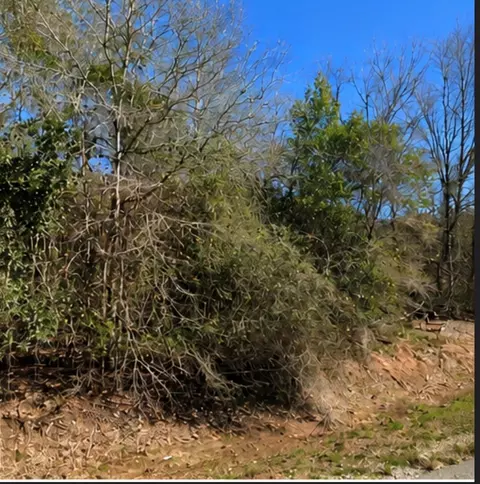 0 Hilltop Rd, Kendleton, TX 77435 photo 4