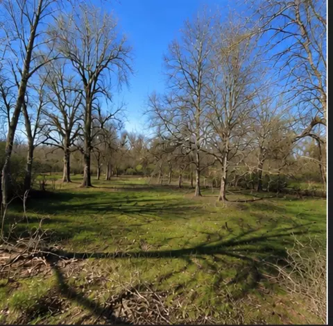 0 Hilltop Rd, Kendleton, TX 77435 photo 3