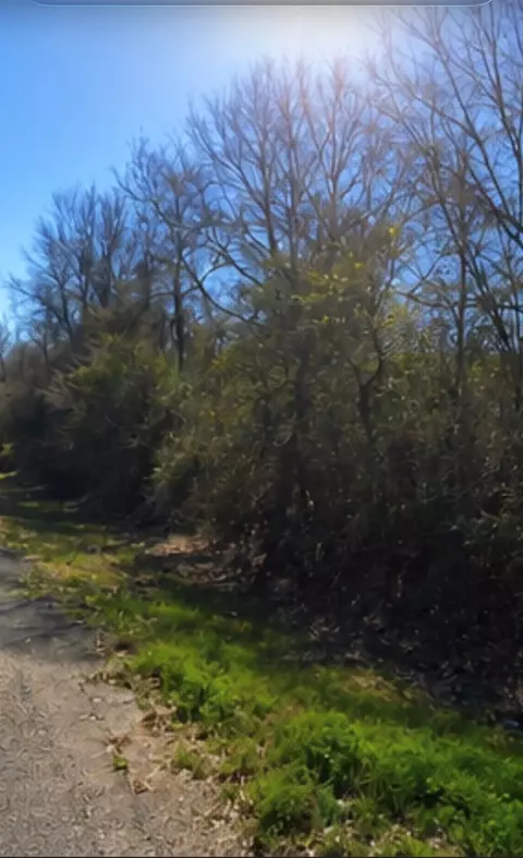0 Hilltop Rd, Kendleton, TX 77435 photo 2