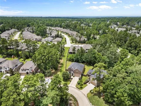 View/Area - 135 Teralyn Grove Loop, Willis, TX 77318 photo 3 of 6