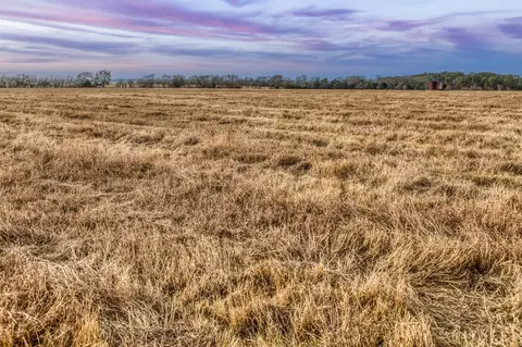 tbd County Road 318, Caldwell, TX 77836
