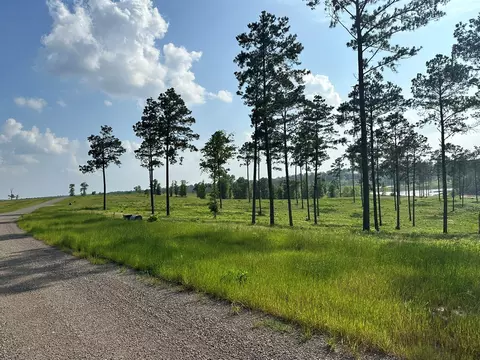 0 Western Rd, Livingston, TX 77351