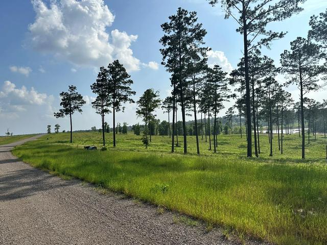 0 Western Rd, Livingston, TX 77351