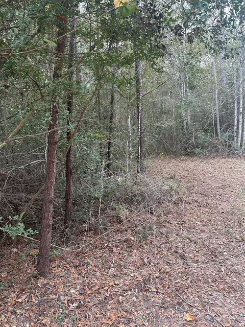 tbd Firetower, Conroe, TX 77306 photo 8