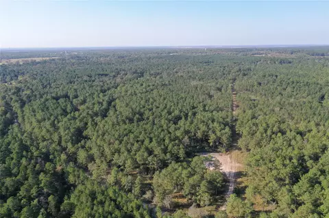 Tract 1 Trinity Lady Park Road W, Trinity, TX 75862