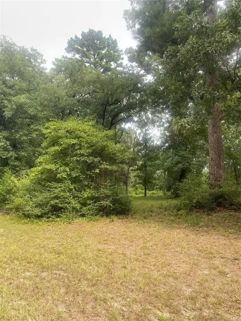 Other - 137 Camp Rd, Trinity, TX 75862 photo 9 of 10