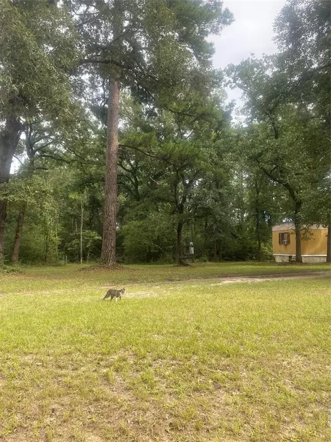 Other - 137 Camp Rd, Trinity, TX 75862 photo 8 of 10