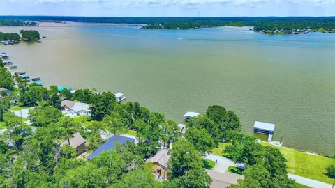 View/Area - 311 Harbor Dr, Onalaska, TX 77360 photo 2 of 3