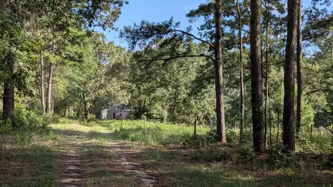 3948 Dogwood Trl, Navasota, TX 77868