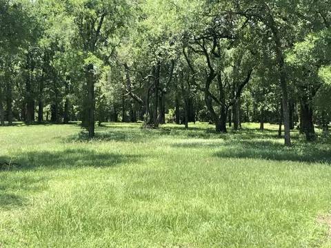 261 River Tree Dr, Blessing, TX 77419 photo 1