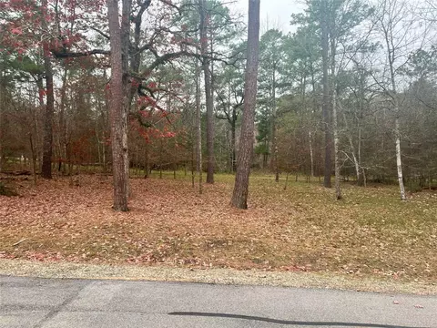 188 N Fairway Loop, Coldspring, TX 77331 photo 1