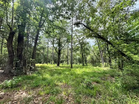 000 Peyton Ln, Hillister, TX 77624