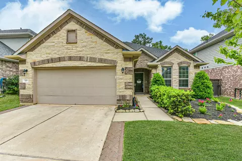 123 Buttonwood Ct, Willis, TX 77318 photo 1