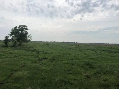 0 Daily Rd, Rosenberg, TX 77471 photo 7