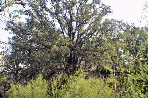 Other - 3514 Highway 90, Glidden, TX 78943 photo 6 of 13
