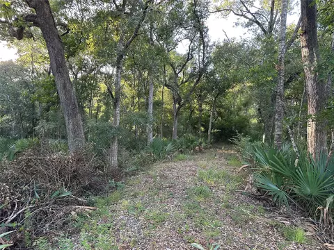 0 County Road 728c, Sweeny, TX 77480 photo 5