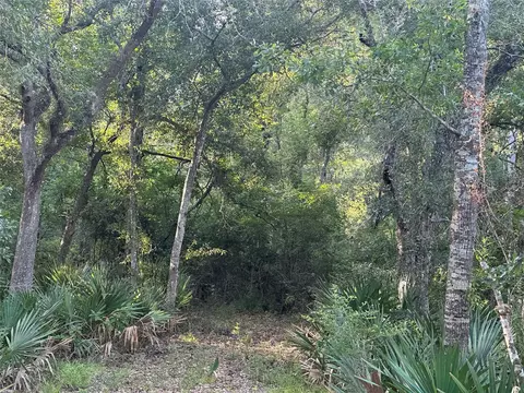 0 County Road 728c, Sweeny, TX 77480 photo 6