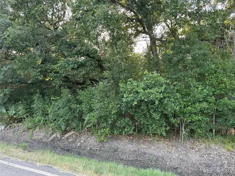 0 County Road 728c, Sweeny, TX 77480 photo 9