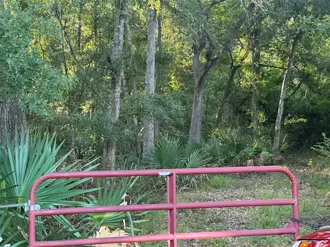 0 County Road 728c, Sweeny, TX 77480 photo 3