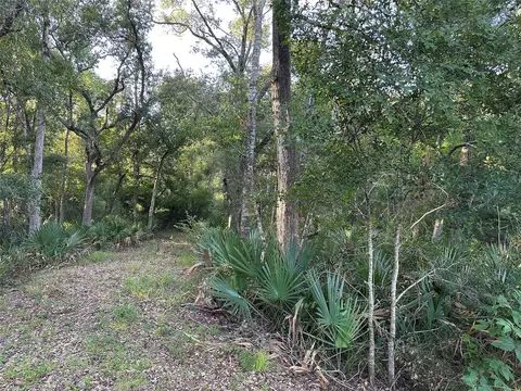 0 County Road 728c, Sweeny, TX 77480 photo 7