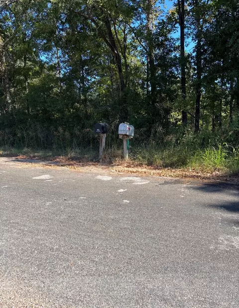 0 Old Highway 35 N, Livingston, TX 77351