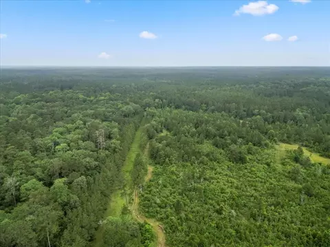 Other - tbd Sharp Ln, Coldspring, TX 77331 photo 4 of 17