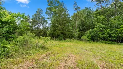 Other - tbd Sharp Ln, Coldspring, TX 77331 photo 12 of 17