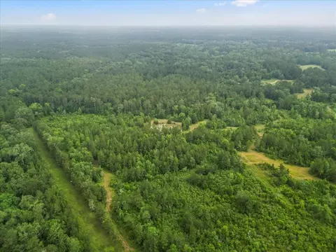 View/Area - tbd Sharp Ln, Coldspring, TX 77331 photo 23 of 28