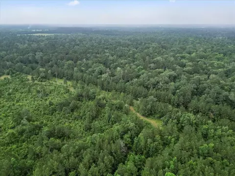 View/Area - tbd Sharp Ln, Coldspring, TX 77331 photo 12 of 28
