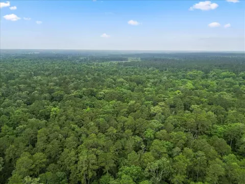 View/Area - tbd Sharp Ln, Coldspring, TX 77331 photo 20 of 28