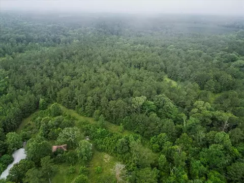 View/Area - tbd Sharp Ln, Coldspring, TX 77331 photo 2 of 28
