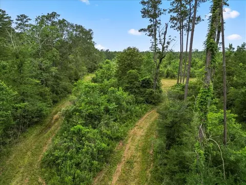 Other - tbd Sharp Ln, Coldspring, TX 77331 photo 7 of 17
