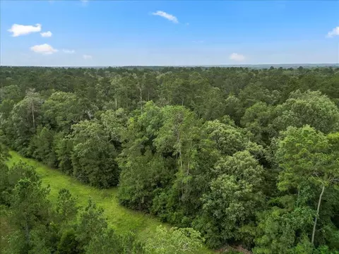 View/Area - tbd Sharp Ln, Coldspring, TX 77331 photo 17 of 28