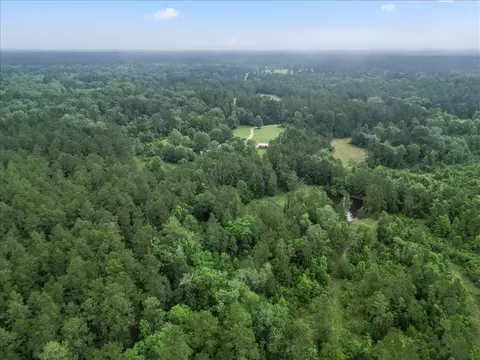 View/Area - tbd Sharp Ln, Coldspring, TX 77331 photo 13 of 28