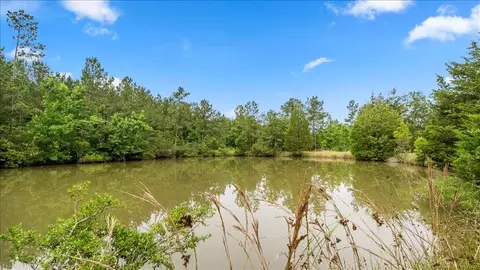 View/Area - tbd Sharp Ln, Coldspring, TX 77331 photo 28 of 28