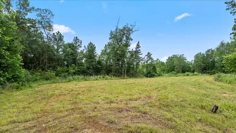Exterior - tbd Sharp Ln, Coldspring, TX 77331 photo 1 of 1
